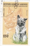 Stamps Guinea -  perro de raza