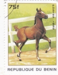 Stamps : Africa : Benin :  caballo
