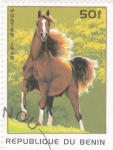 Stamps Benin -  caballo
