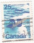 Stamps Canada -  osos polares