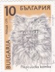 Stamps Bulgaria -  gato de raza