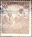 Stamps Hungary -  Intercambio 0,20 usd 35 filler 1916