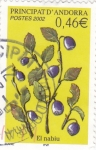 Stamps Andorra -  flora- El nabiu