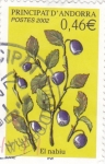 Stamps : Europe : Andorra :  flora- El nabiu