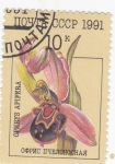Stamps Russia -  flora- ophrys apifera