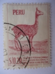 Sellos de America - Per� -  Vicuña Peruana, Símbolo en el Escudo Nacional y productora de la lana más fina.