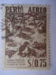 Stamps Peru -  Guanay - Principal productor del Guano de Isla.