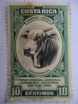 Stamps : America : Costa_Rica :  Stock Bull (Bos primigenius taurus) Cartago - Feria Nacional Agrícola,Ganadera e Industrial Cartago 