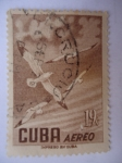 Sellos de America - Cuba -  Gaviotas.