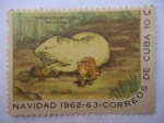 Stamps Cuba -  Navidad 1962-63 -Roedor - Capronys Pilorides (Say)