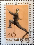 Sellos de Europa - Hungra -  Intercambio 0,20 usd 40 f. 1963