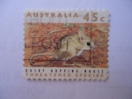 Stamps Australia -  Dusky Hopping-Mouse