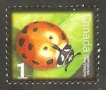 Stamps Canada -  2315 - Hippodamia convergens