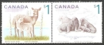 Sellos de America - Canad -  Ciervos y Morsas