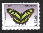 Stamps : America : Honduras :  Conservación de la Vida Sílvestre, Malaquita (Siproeta stelenes)
