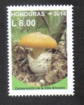 Sellos de America - Honduras -  Conservación de la Vida Sílvestre