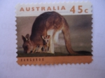 Stamps Australia -  Kangaroo.
