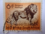 Stamps : Africa : South_Africa :  Suid-Afrika- Animales Salvajes-León (S/205)