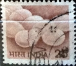 Stamps India -  Intercambio 0,65 usd 25 p. 1979