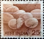 Stamps India -  Intercambio 0,65 usd 25 p. 1979