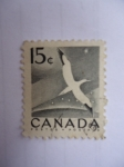 Stamps Canada -  Albatro - (Yv/275 - S/343)