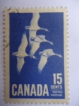 Stamps Canada -  Patos Reales - Aves Migratoria (Yv/337 - S/415)
