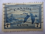 Stamps : America : Canada :  Pato Real - Aves Migratorias (YV/225 - S/Co1)