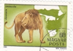 Sellos de Europa - Hungra -  mapa de Africa y león