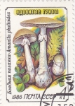 Stamps Russia -  setas