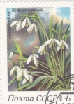 Stamps Russia -  flores