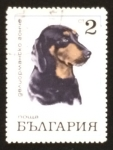 Stamps Bulgaria -  Retriever