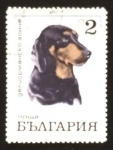 Sellos del Mundo : Europa : Bulgaria : Retriever