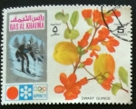 Stamps United Arab Emirates -  RAS AL KHAIMA-Juegos olímpicos de invierno Sapporo 72