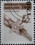 Stamps Africa - Togo -  Caralluma burchardii