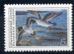 Stamps Russia -  varios