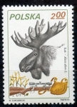 Stamps Poland -  varios