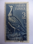 Stamps Spain -  Alcaravan- Sahara Español.