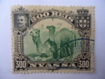 Stamps Portugal -  Carlos I de Portugal - Camellos.