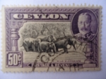 Stamps Sri Lanka -  Wild Elephant.(Poatage y Revenue)