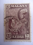 Stamps : Asia : Malaysia :  Tigre de Malasia - Sultán...
