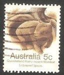 Stamps Australia -  747 - Lasiorhinus kreffti