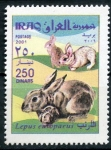 Stamps Iraq -  varios