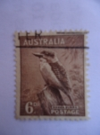 Sellos de Oceania - Australia -  Kookaburra. 