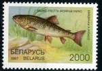 Stamps Europe - Belarus -  varios