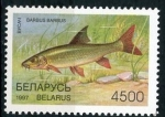 Stamps Belarus -  varios