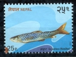 Stamps Nepal -  varios
