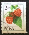 Stamps Poland -  Frambuesas