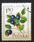 Stamps Poland -  Arándanos