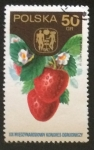 Stamps : Europe : Poland :  Fresas