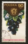 Stamps Poland -  Grosellas